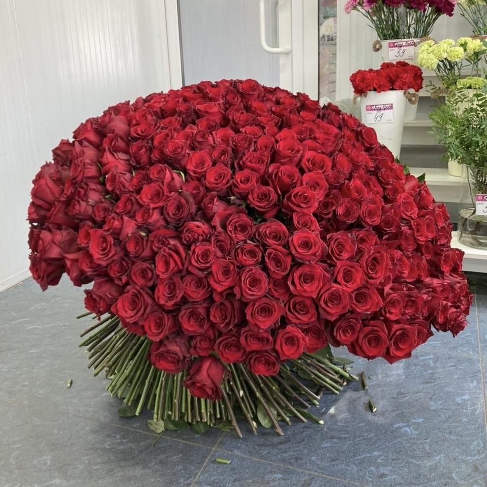 Букеты из красных роз 80 см (Эквадор) articul  35148ki