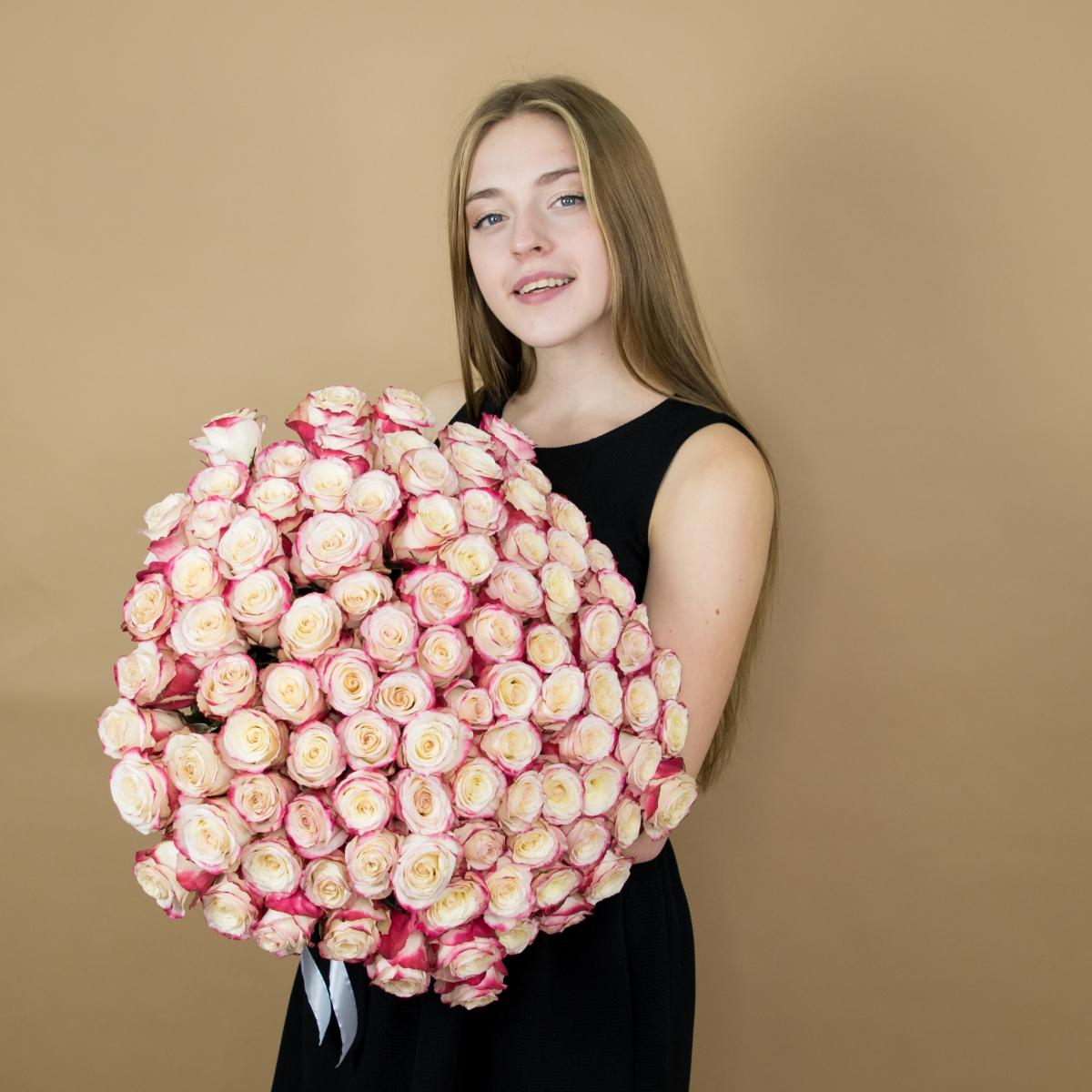 Розы красно-белые 75 шт 40 см (Эквадор) артикул букета: 15457kir