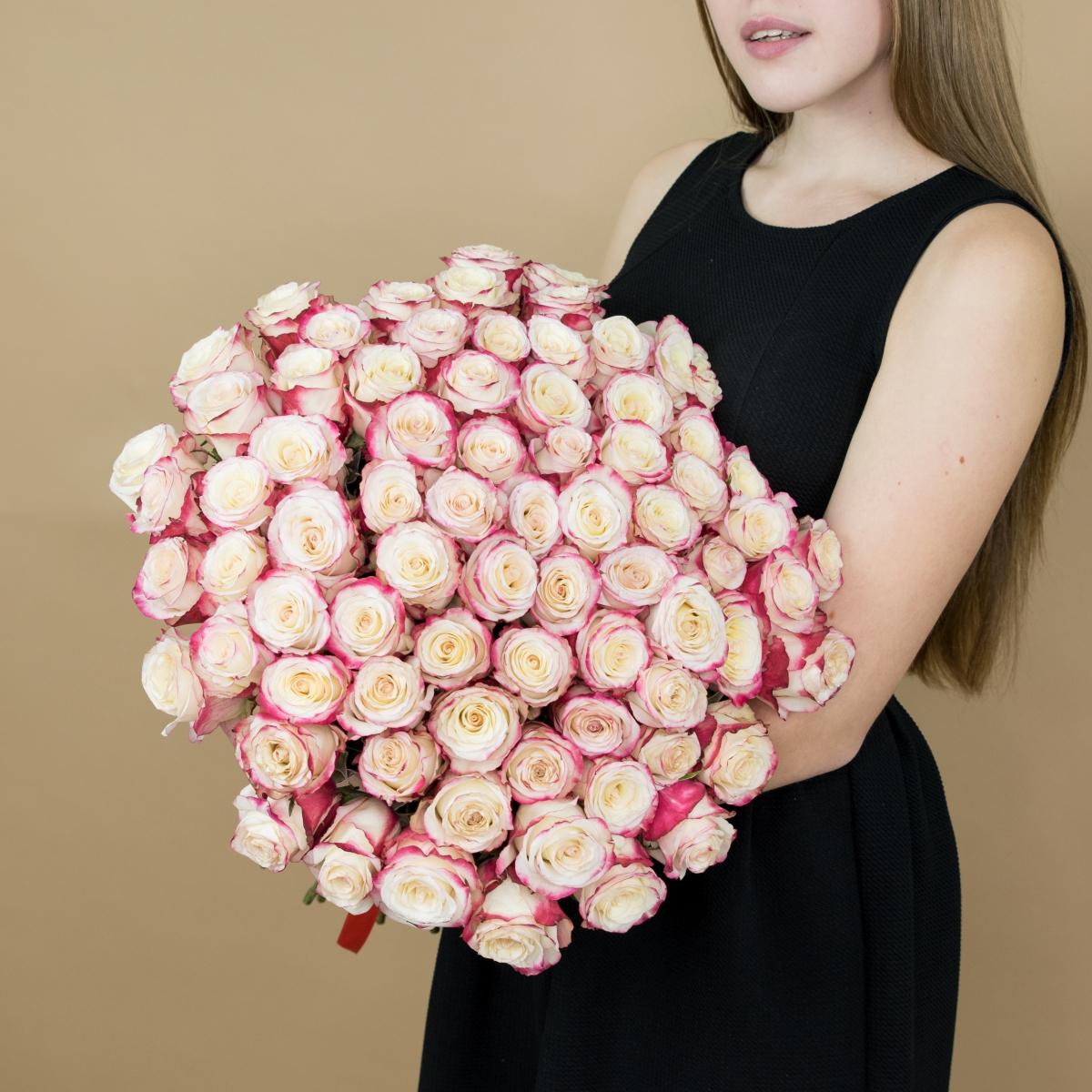 Розы красно-белые 101 шт. (40 см) код  15486kir
