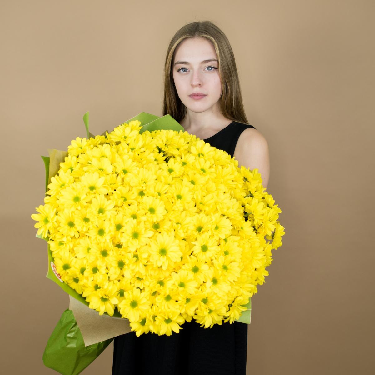 Хризантема кустовая желтая код - 16037kir