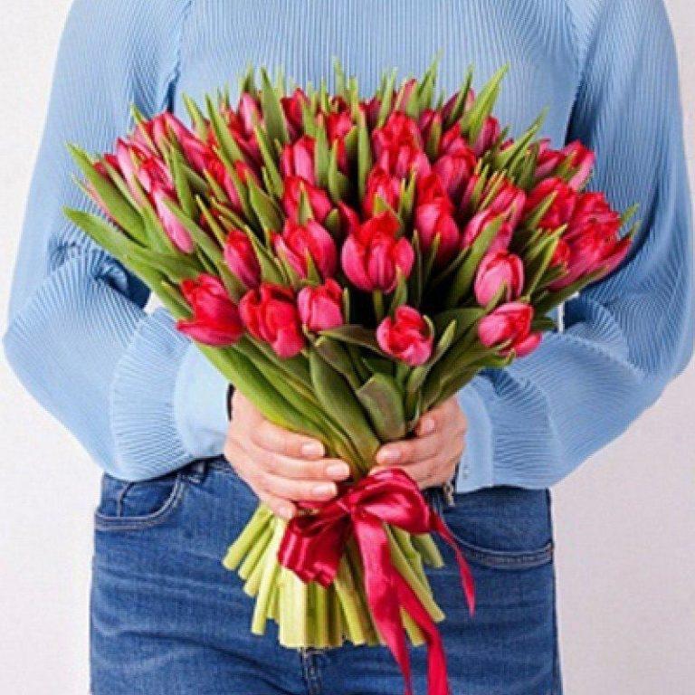 Тюльпаны красные 51 шт №   25259